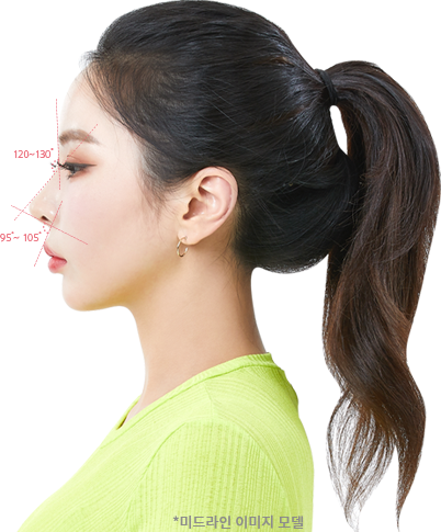nose-type_line1.png nose-type_line1.png
