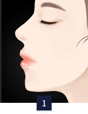 라인별 코