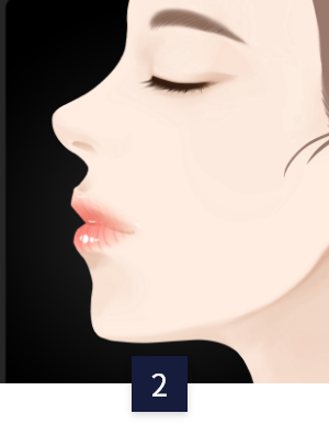라인별 코