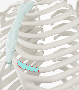 nose_material3.png nose_material3.png