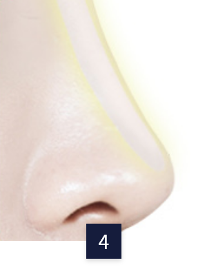 tissue-nose_method4.png tissue-nose_method4.png
