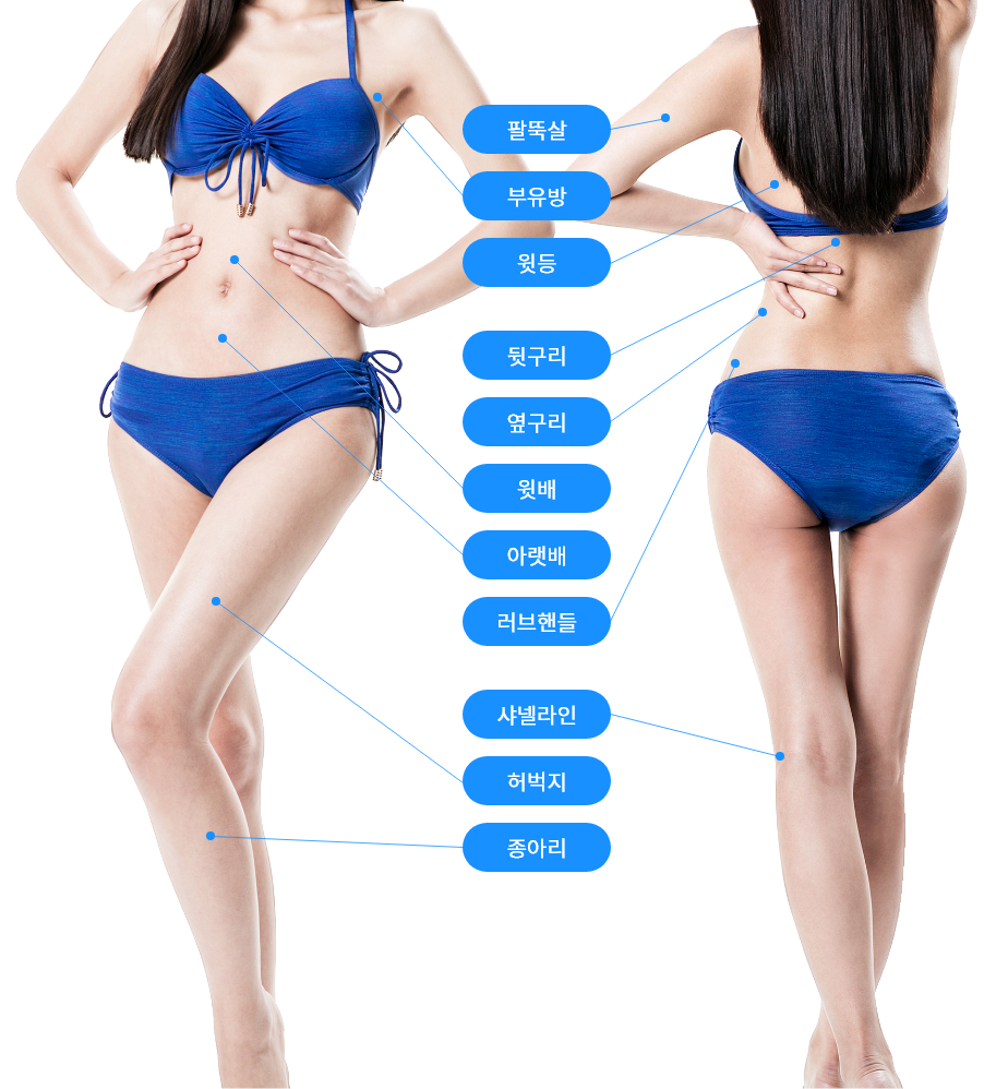 petty-mid_area.png petty-mid_area.png