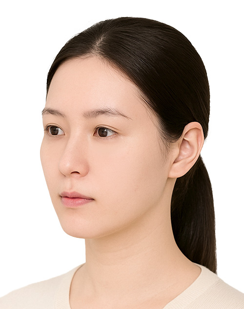 모델지원 각도 참고 이미지