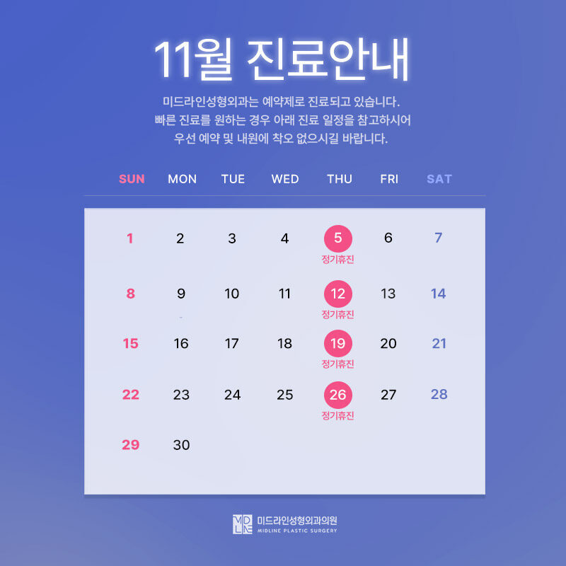 11월 진료안내