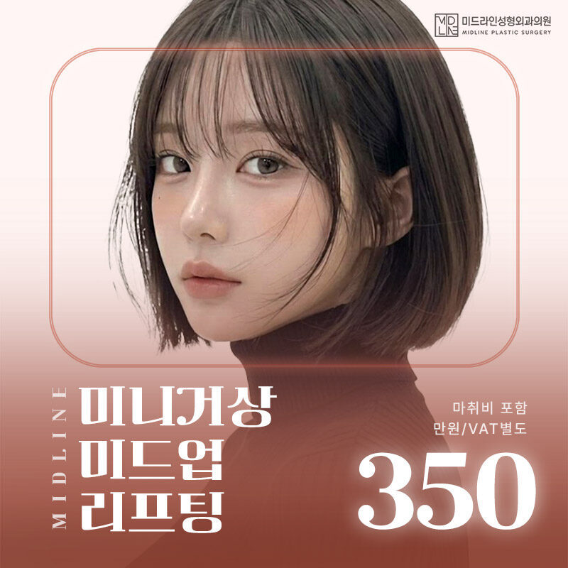 미니거상 미드업 리프팅